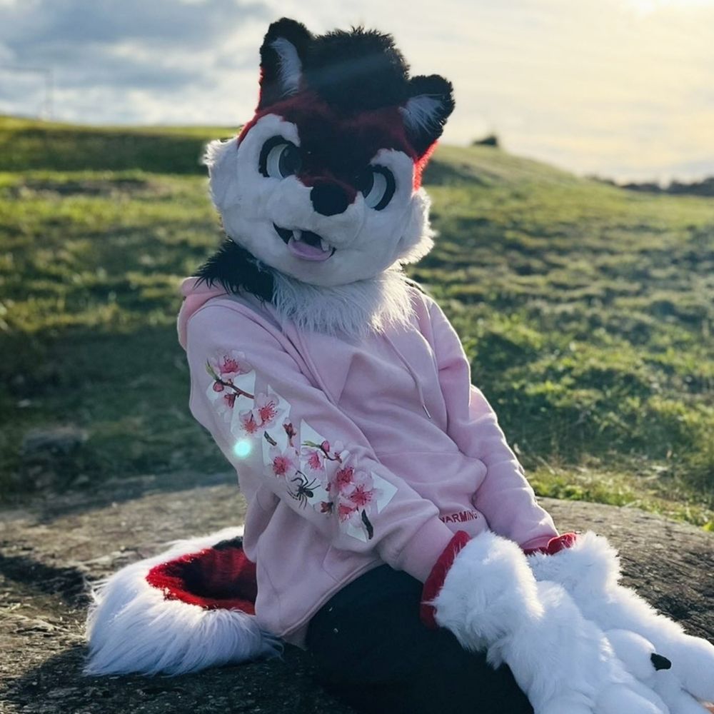Arco Husky 🎈💖 