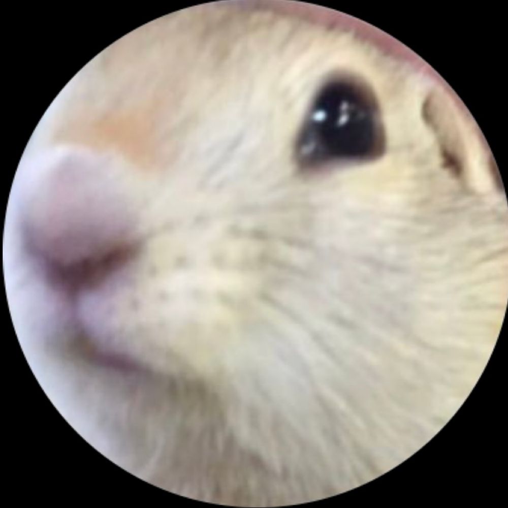 りんぐ