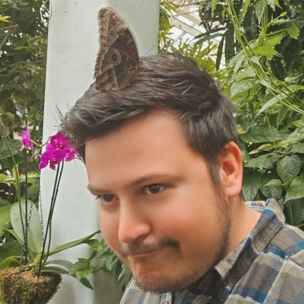 Dan