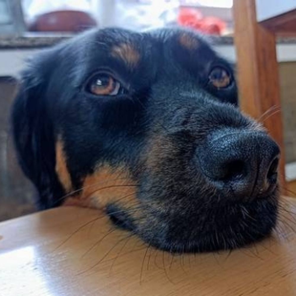 Marko