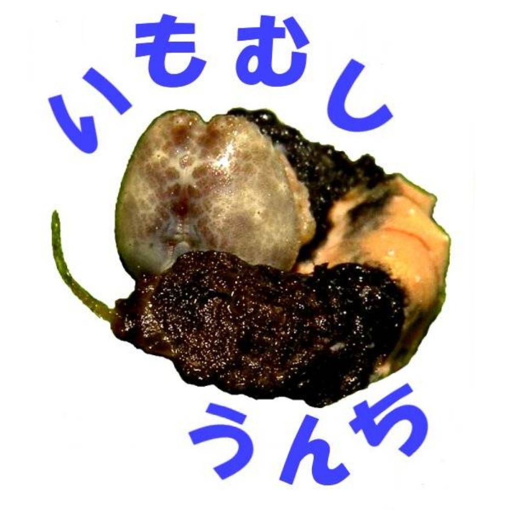 あくれりす（Acleris）