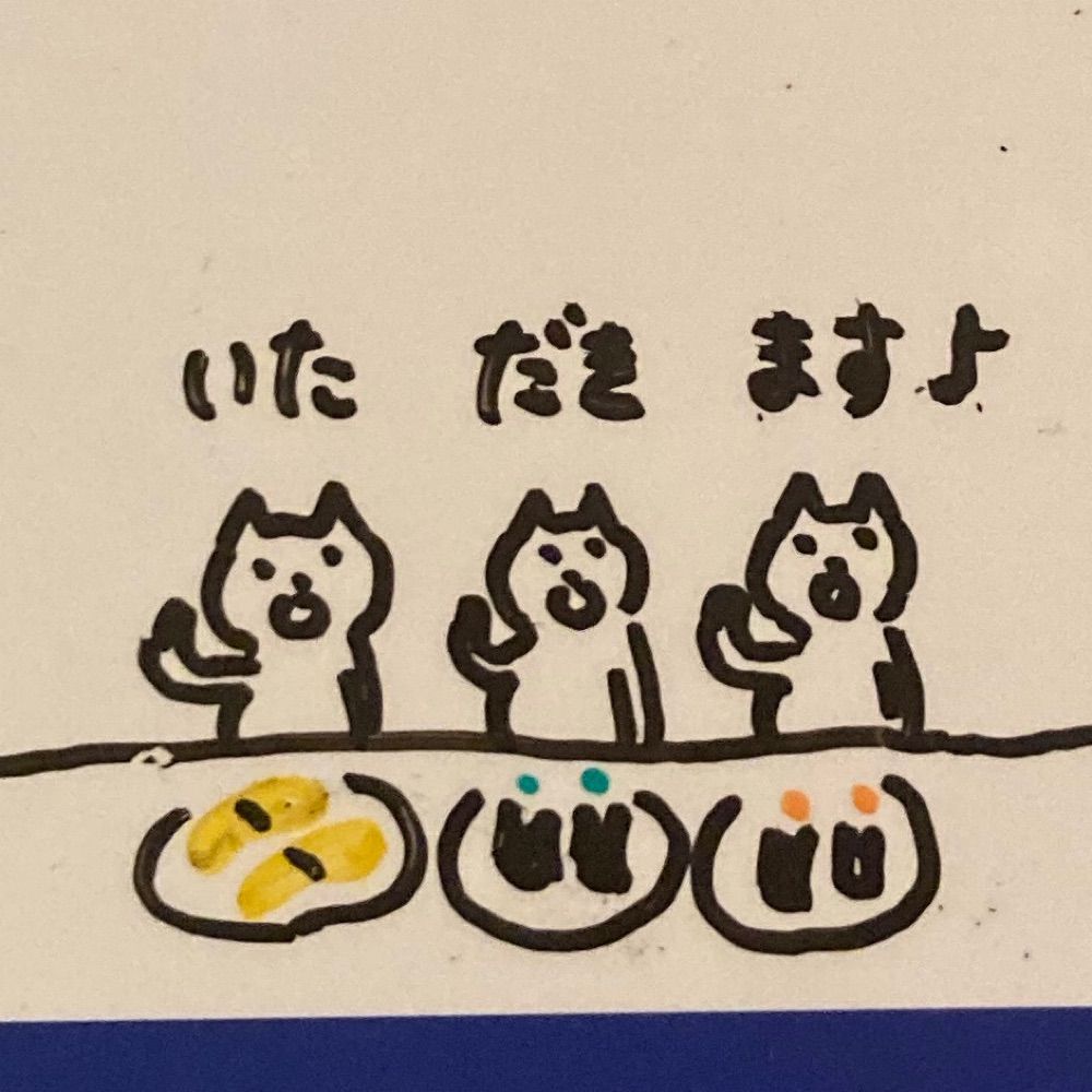 遊上