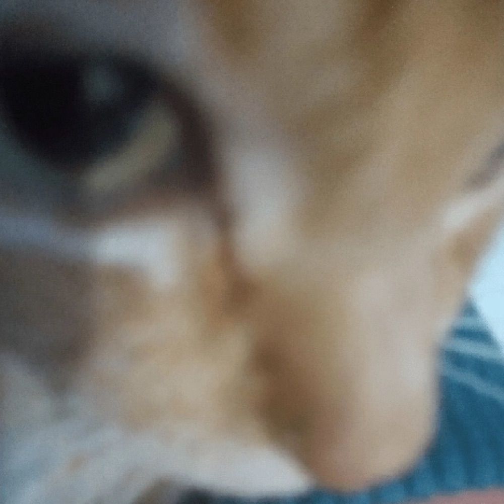 m clara