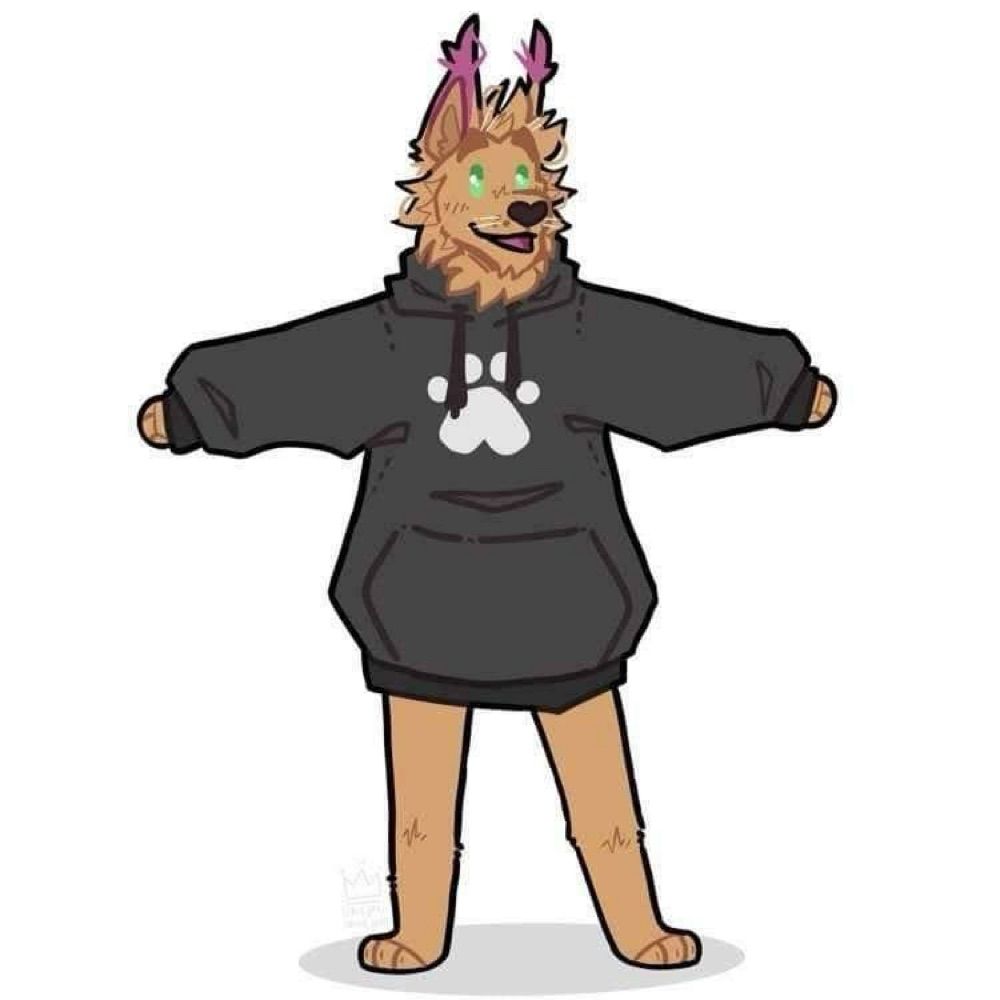 Catboy KoKo