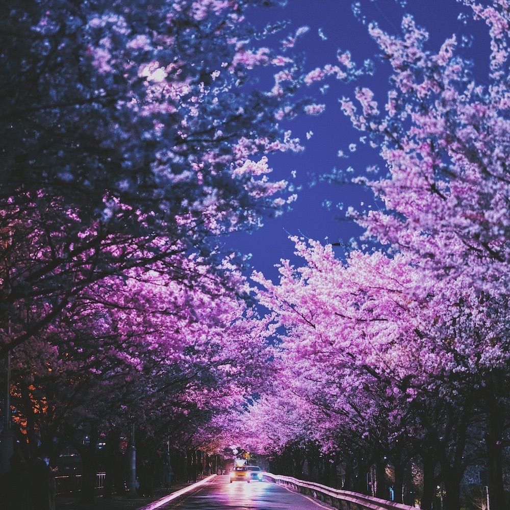 쌀알