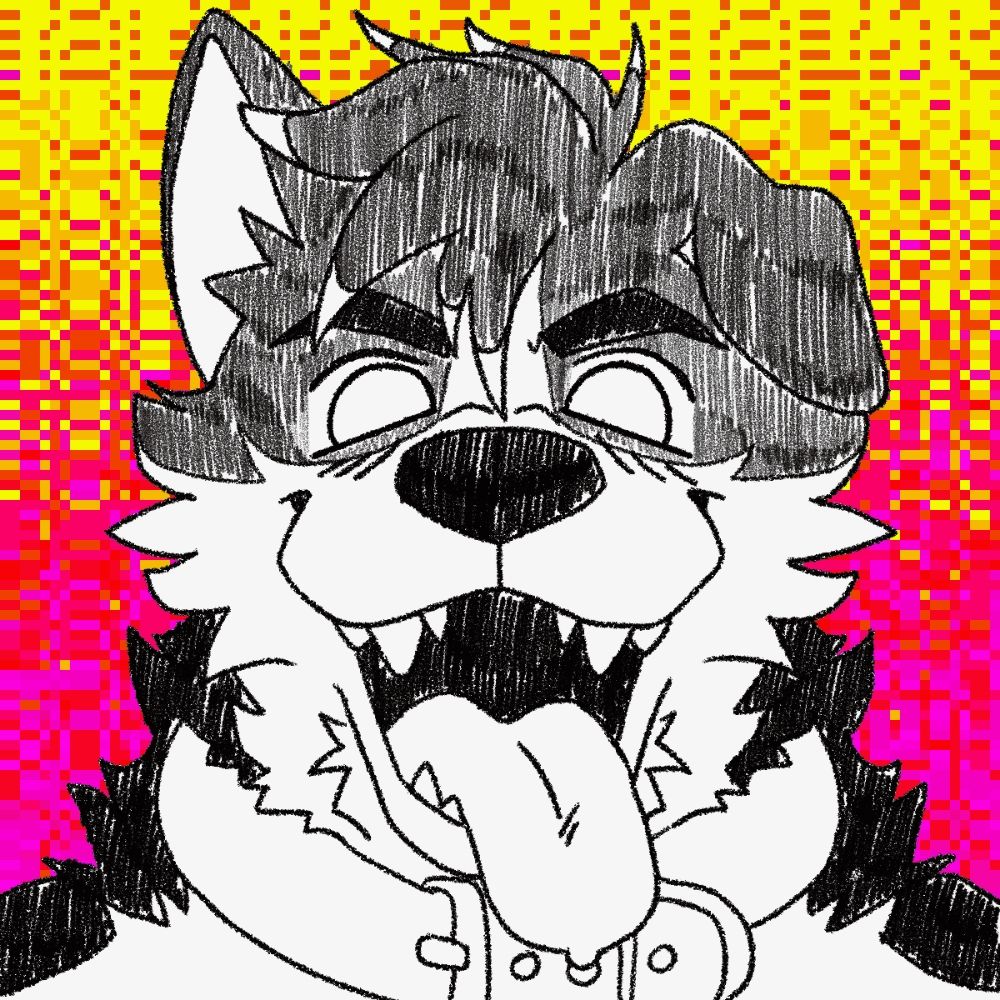 Nikkothedoggo