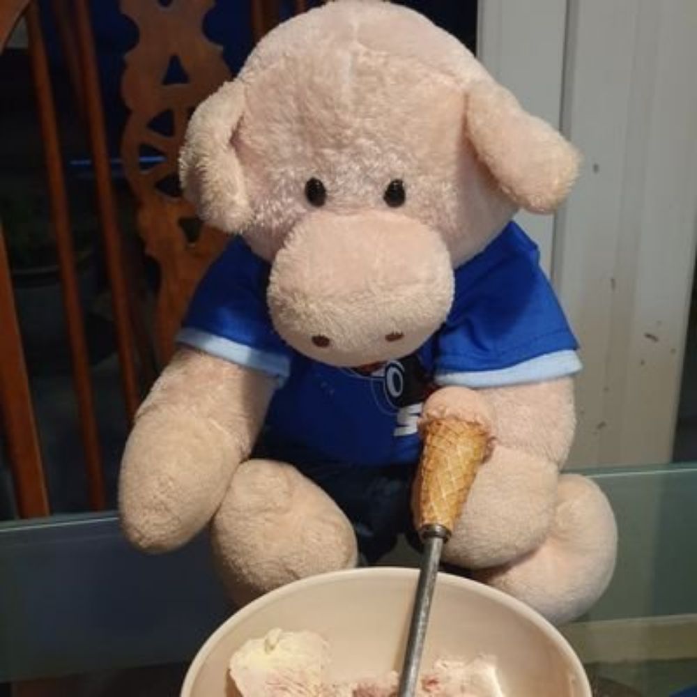 Peragwin Piggie