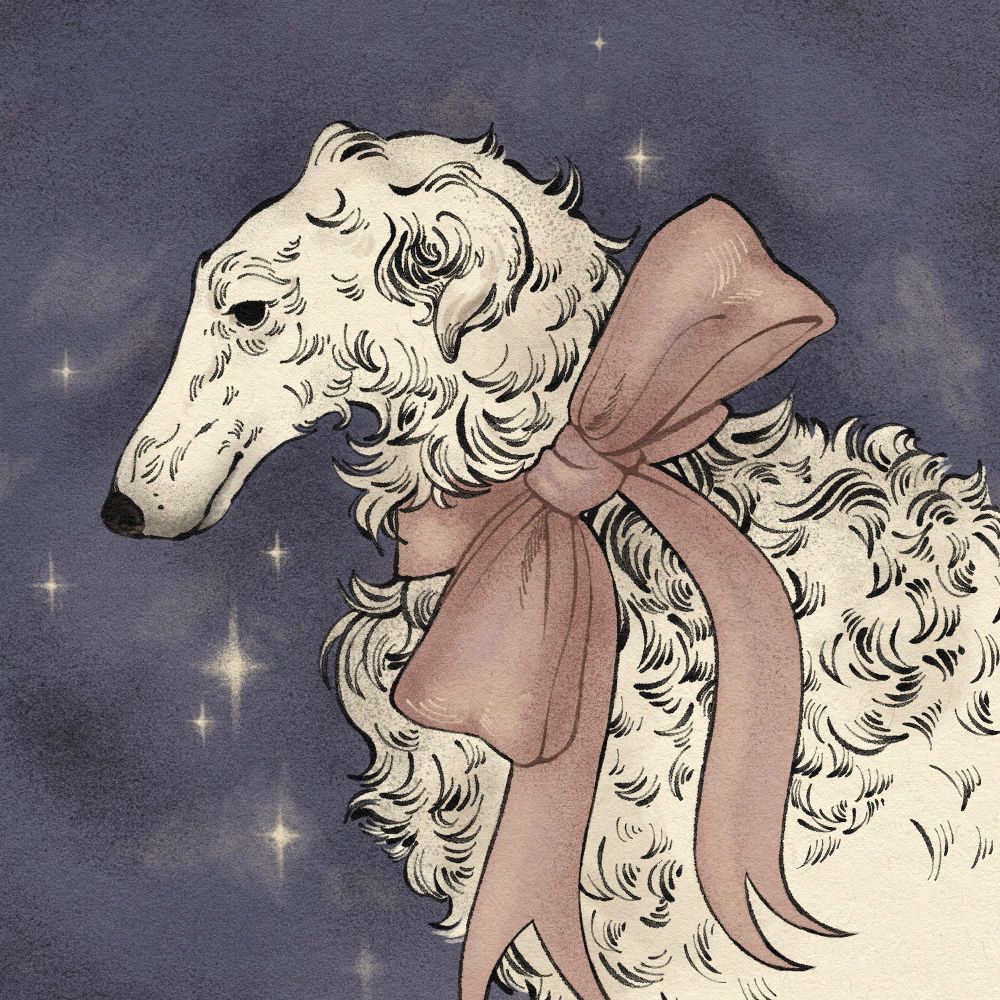 jane ✶