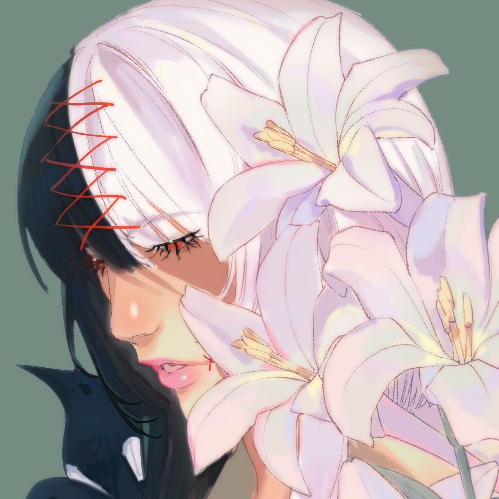 🌼 Sugi | shira.sugi