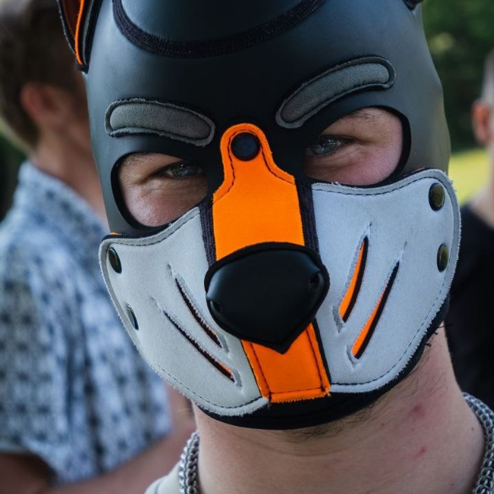 Lycan 