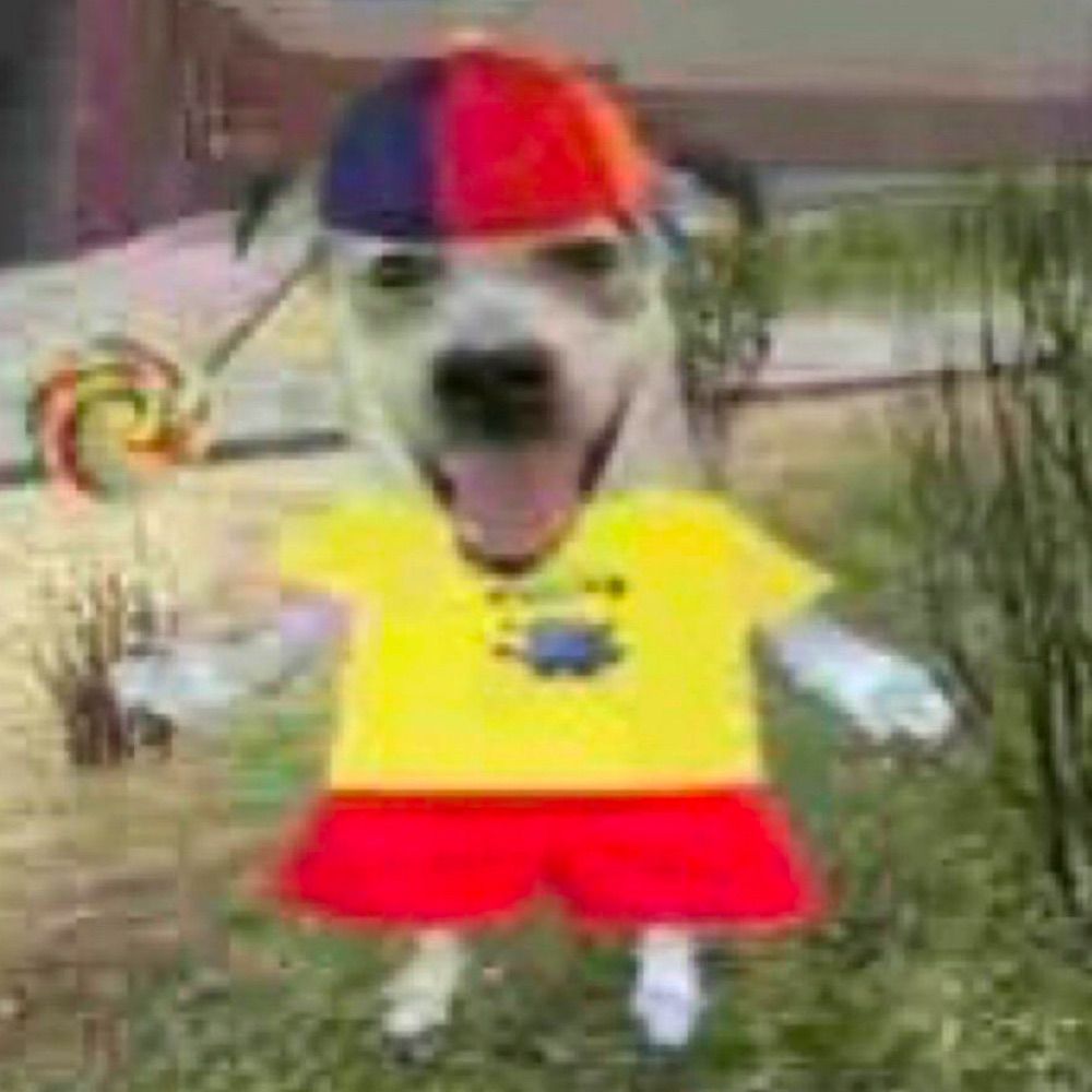 Ander Dingus