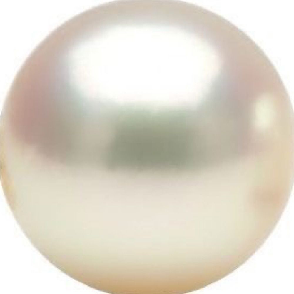 comrad pearl🪽