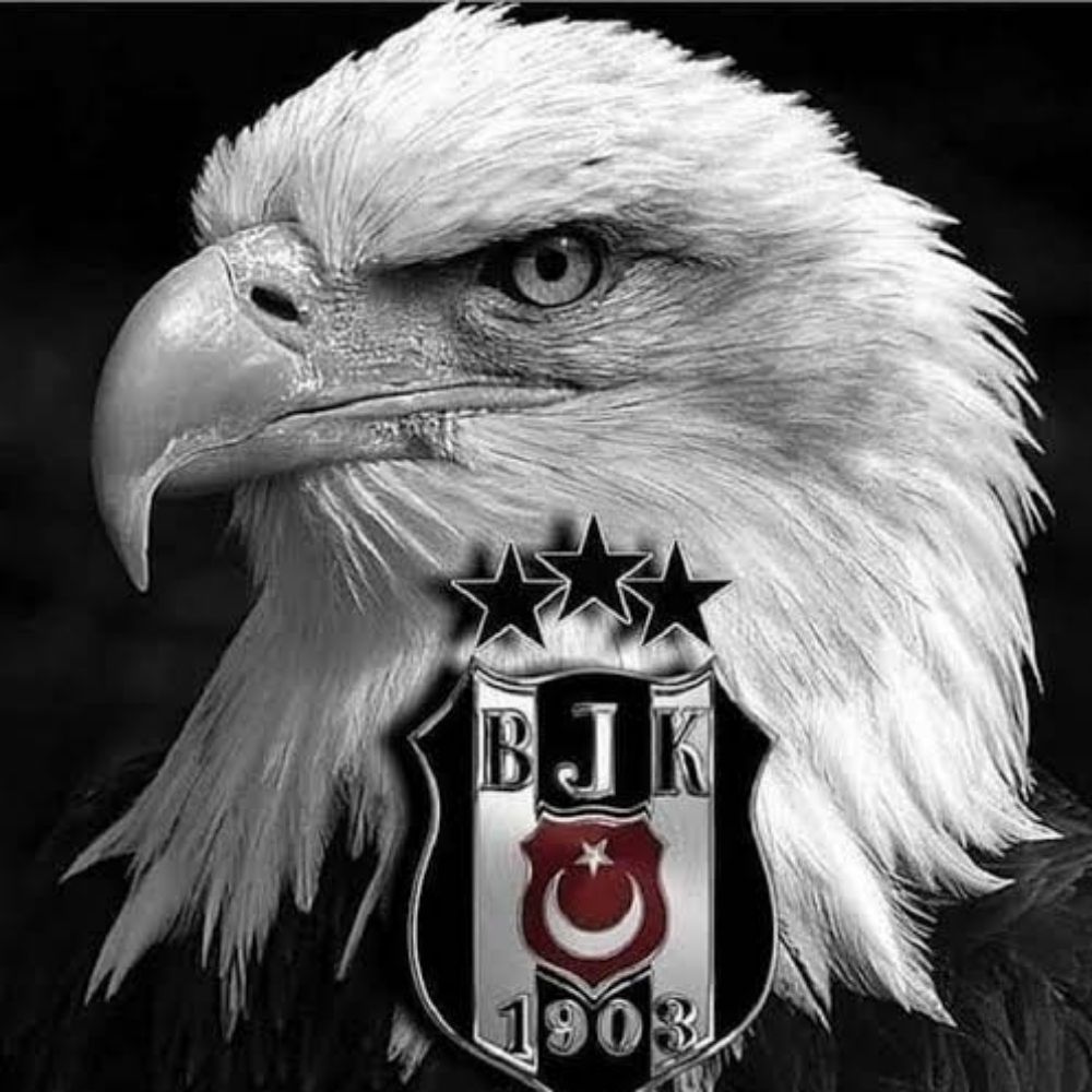 Kartal Başkan