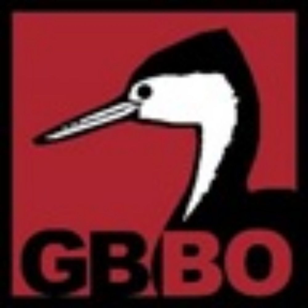 Great Basin Bird Observatory's avatar