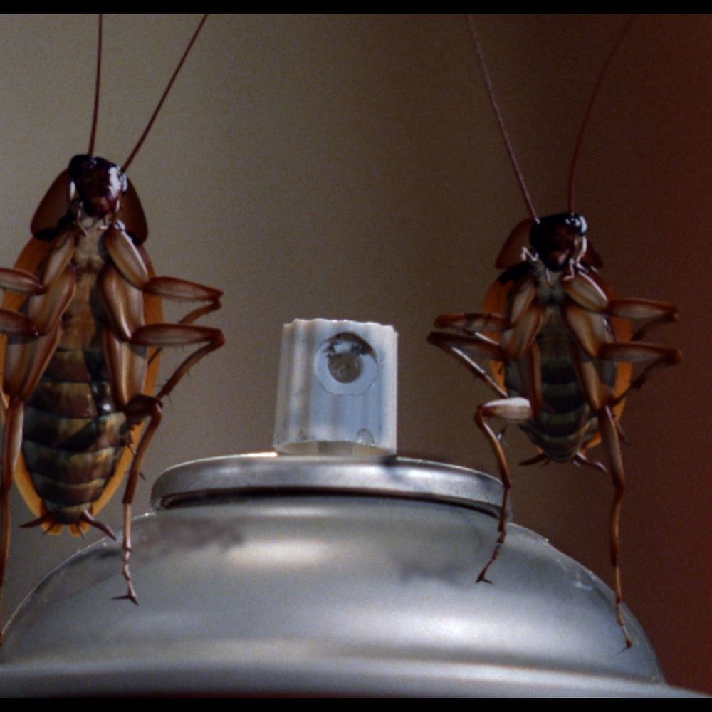 Roach Spray 