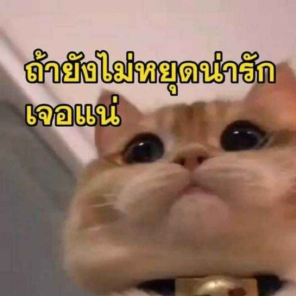 หมิงๆชอบกินไข่หวาน