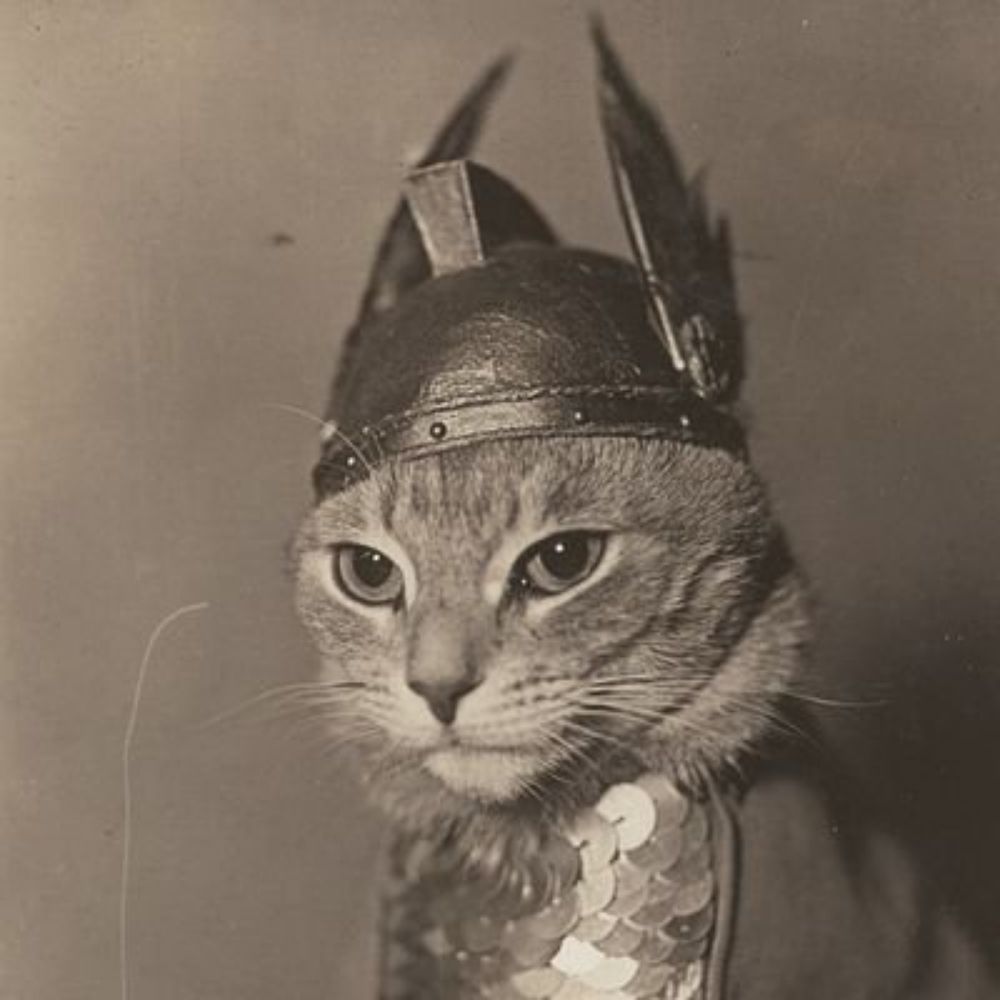 Hypothetical Cat