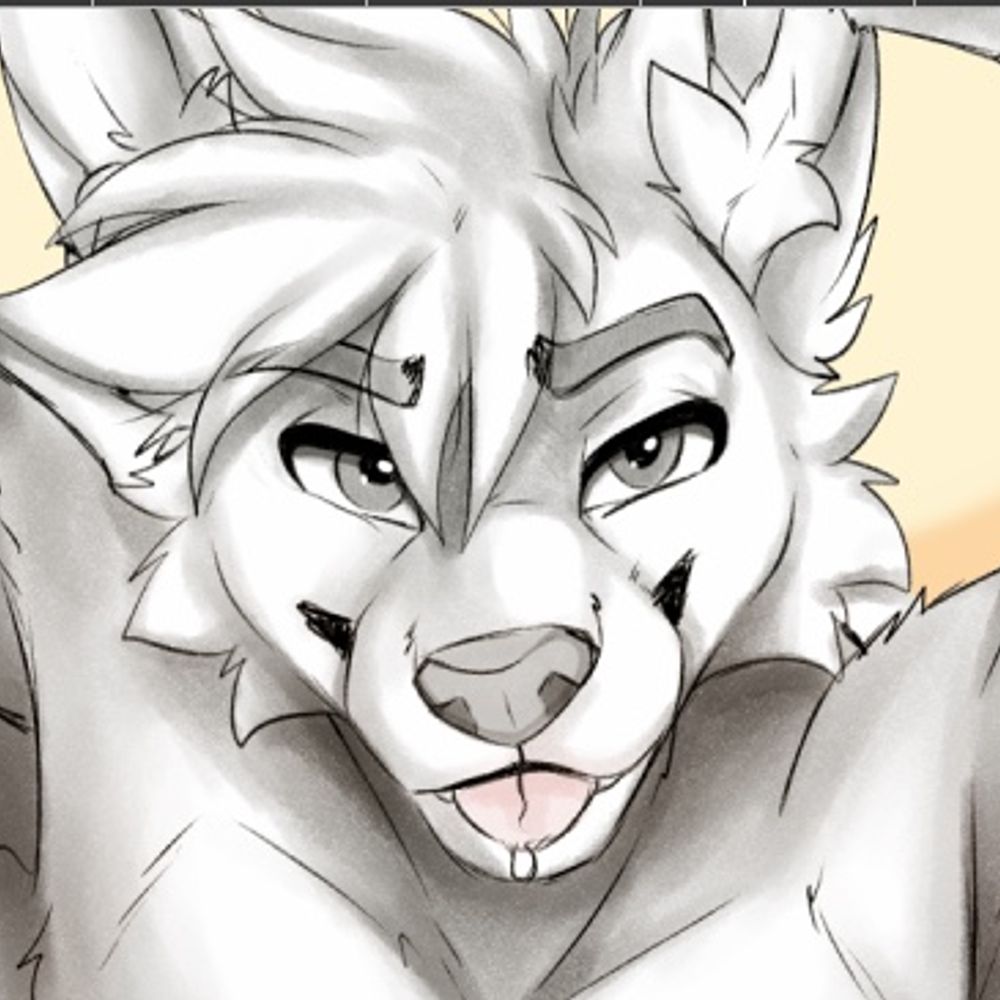 Furry n00k