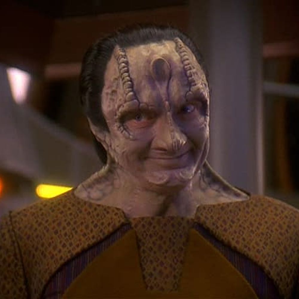 Plain Simple Garak