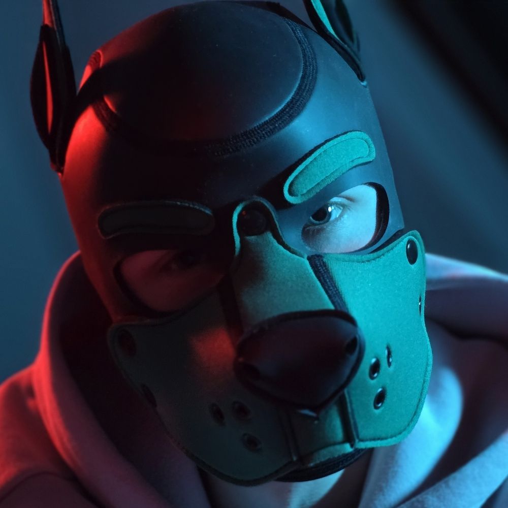 Spark your local Puppy