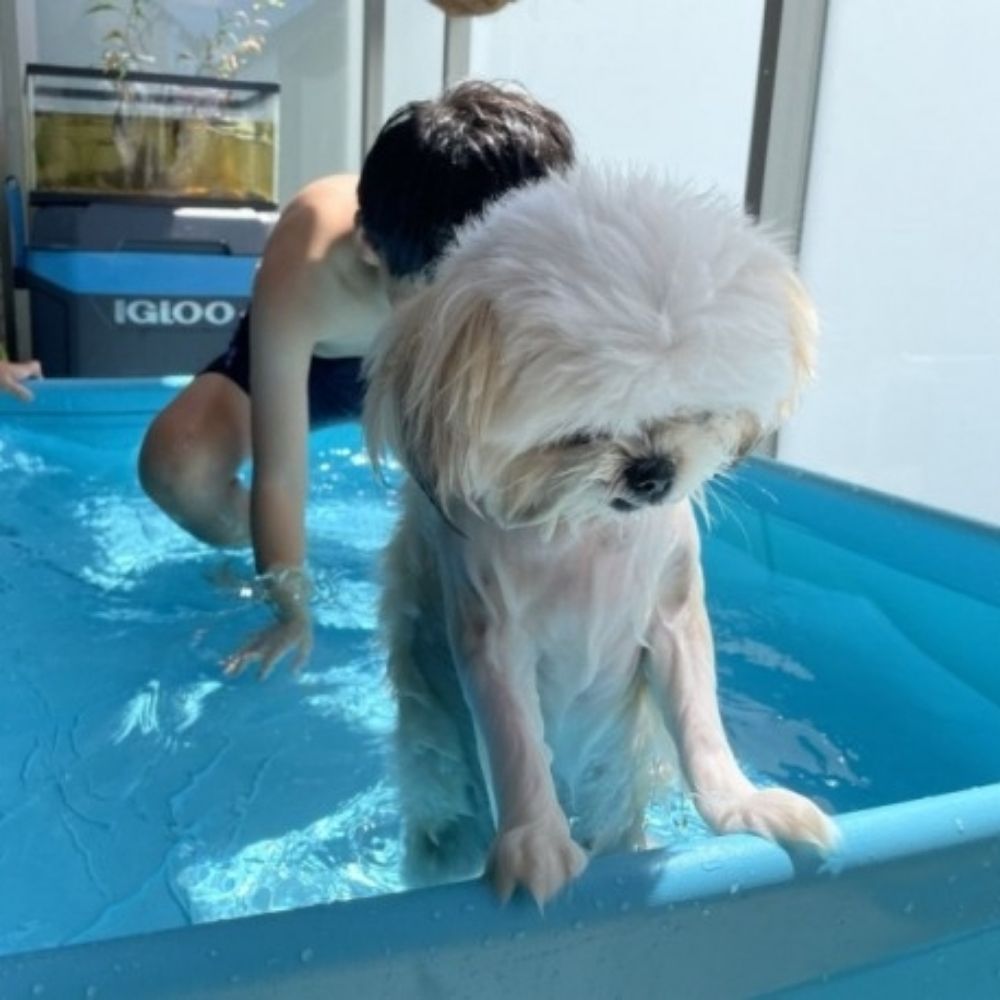 기몽이