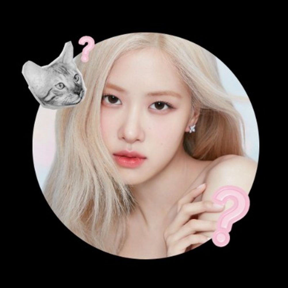 𝓡𝓮𝓪🌹 𝖮𝗉𝖾𝗇 𝙅𝘼𝙎𝘼 𝙏𝙀𝙍𝘼𝙒𝘼𝙉𝙂 