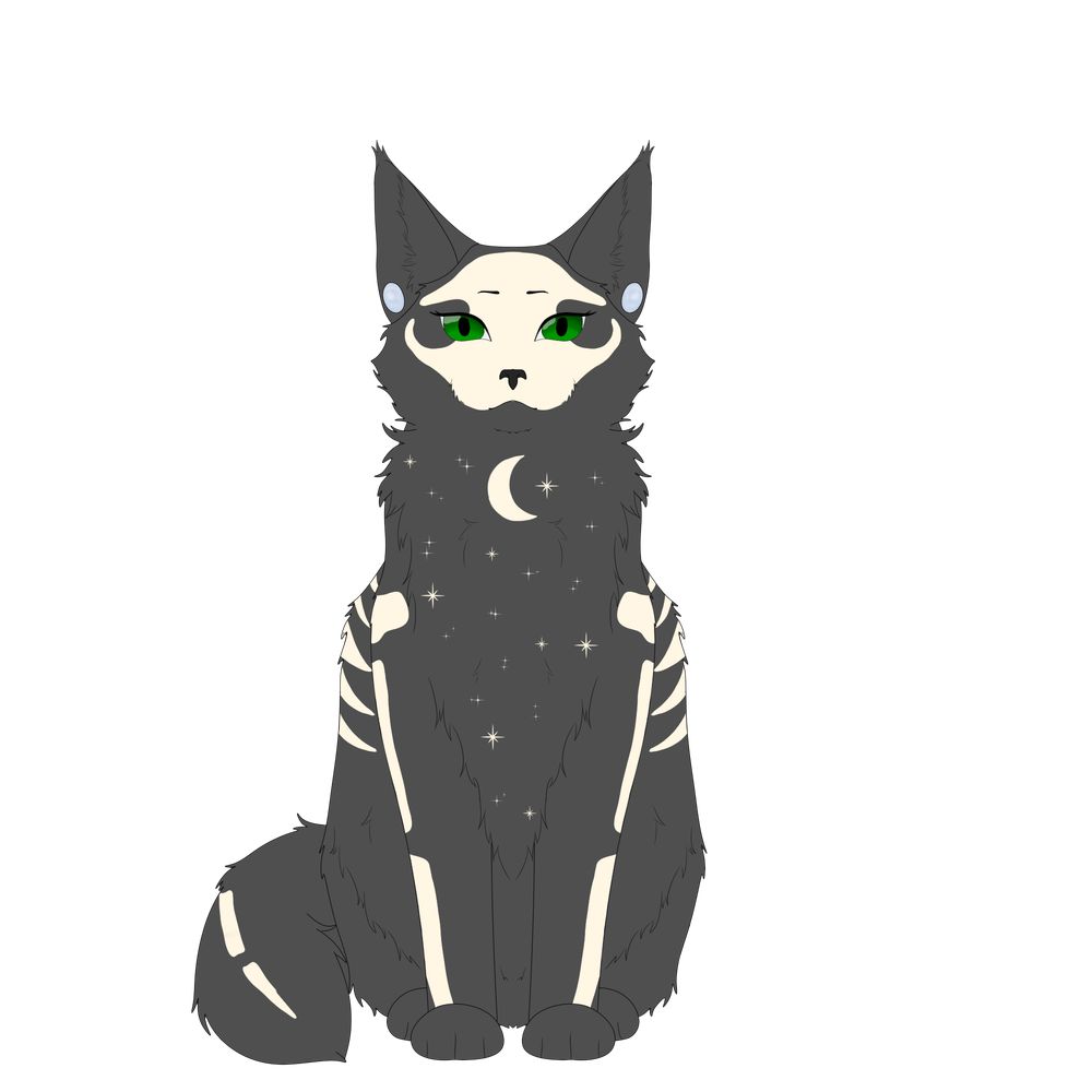 Skull_Kitten
