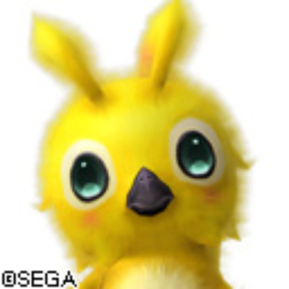 JM2DQR 