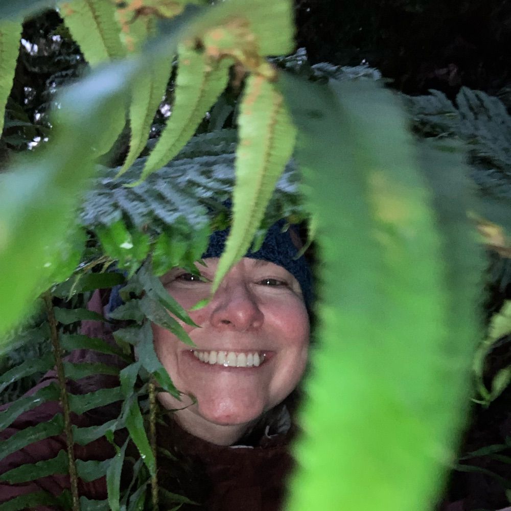 Cheri WolfeHaas