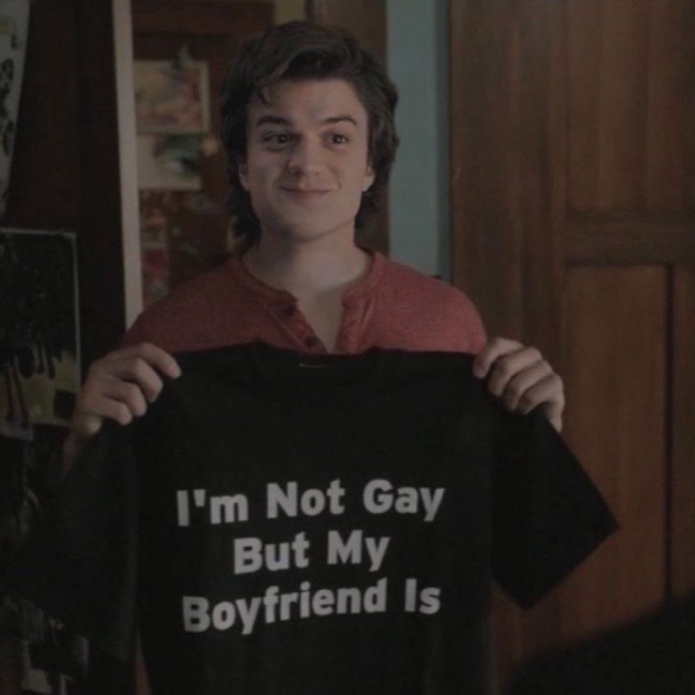 Steddie Fic Recs!