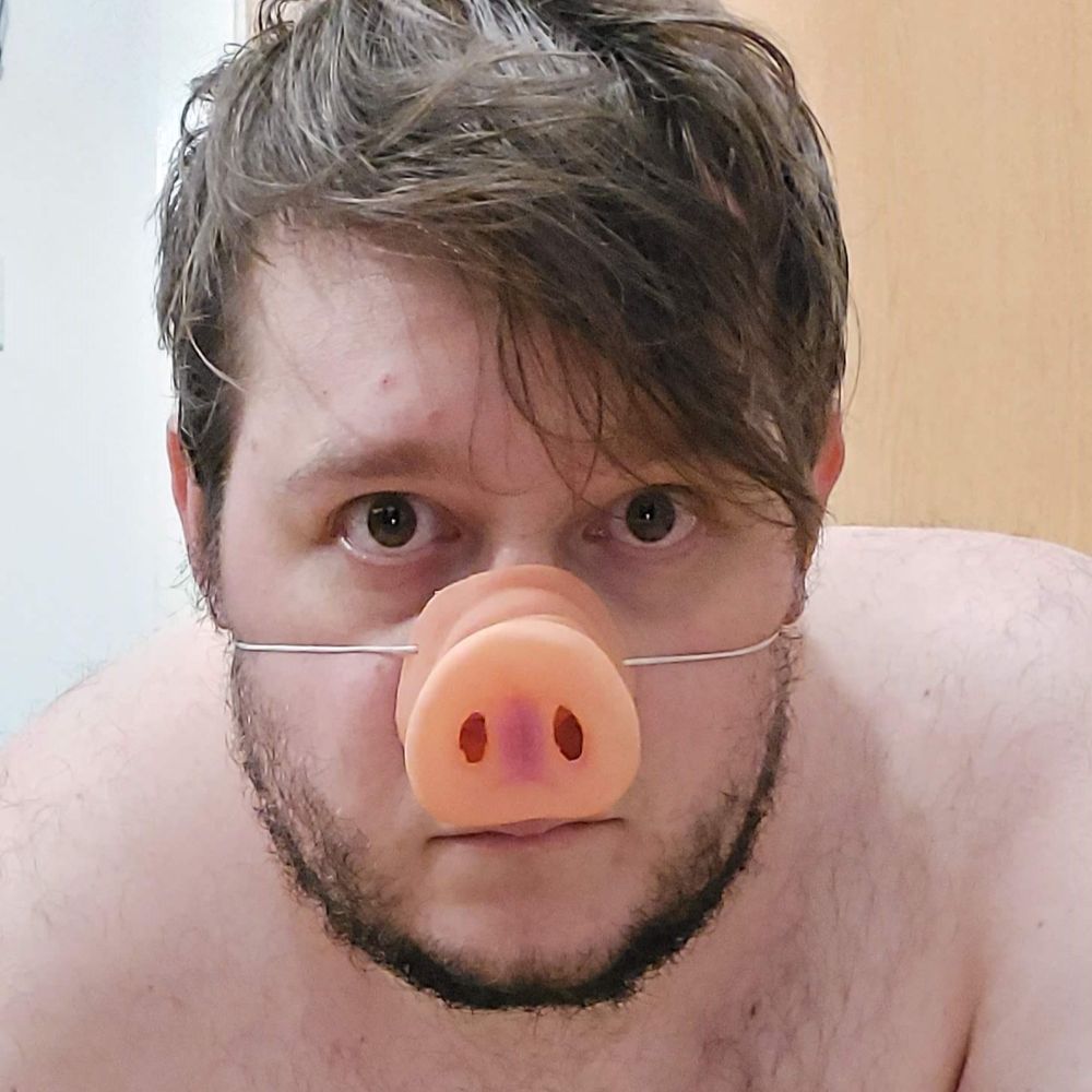 piggy r