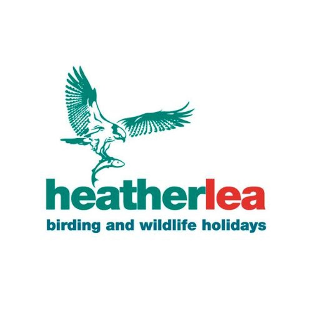 Heatherlea Birdwatching & Wildlife Holidays