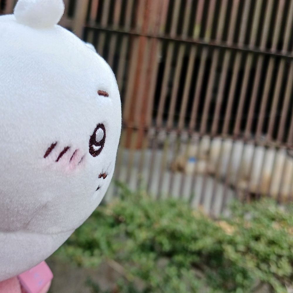 白鳥🦢秘密のミセスルームえひめ