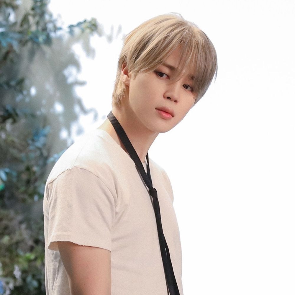 Vanteminkook