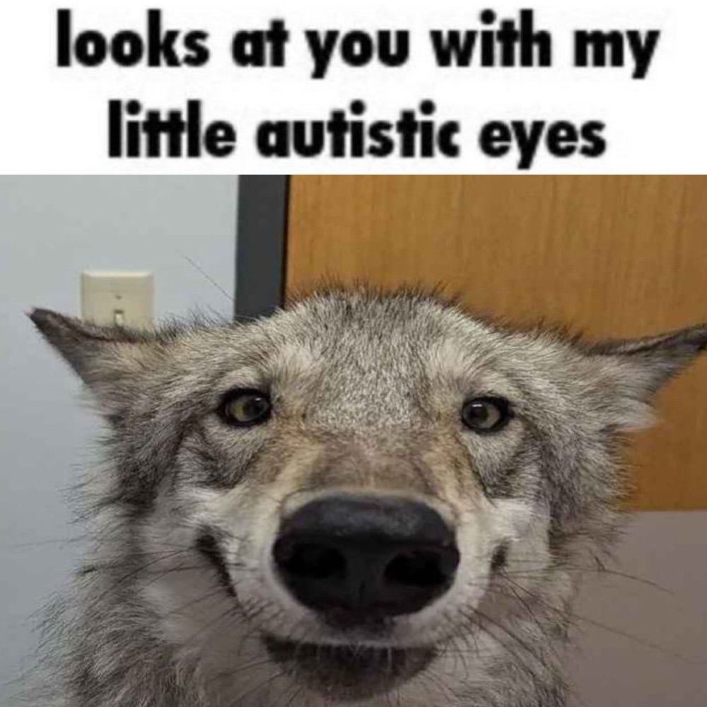 rycocks