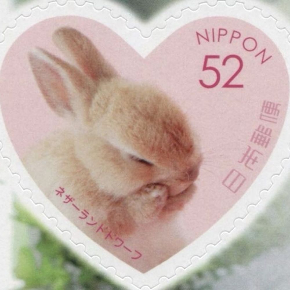 BunnyRabbit