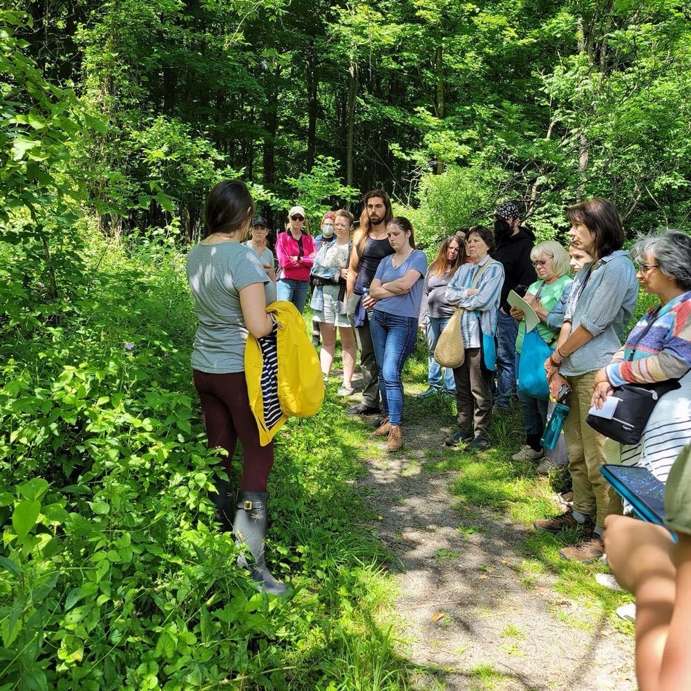 Syracuse Herbal Study Group