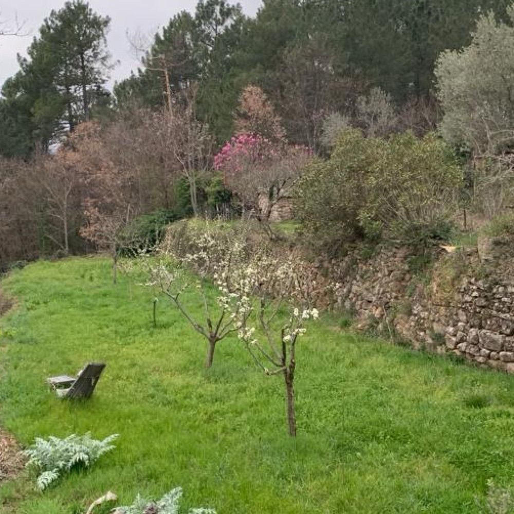 Jean-Yves Meilland