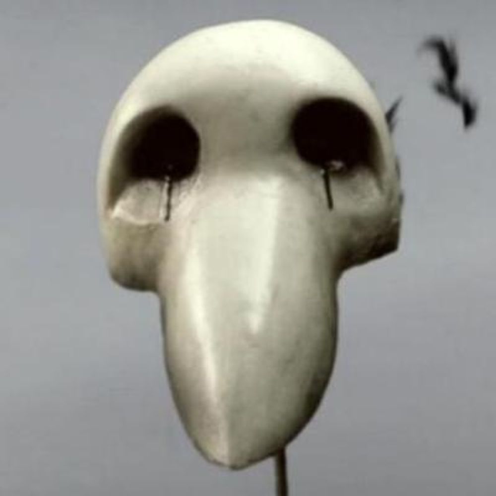 aqjsunderscorex2