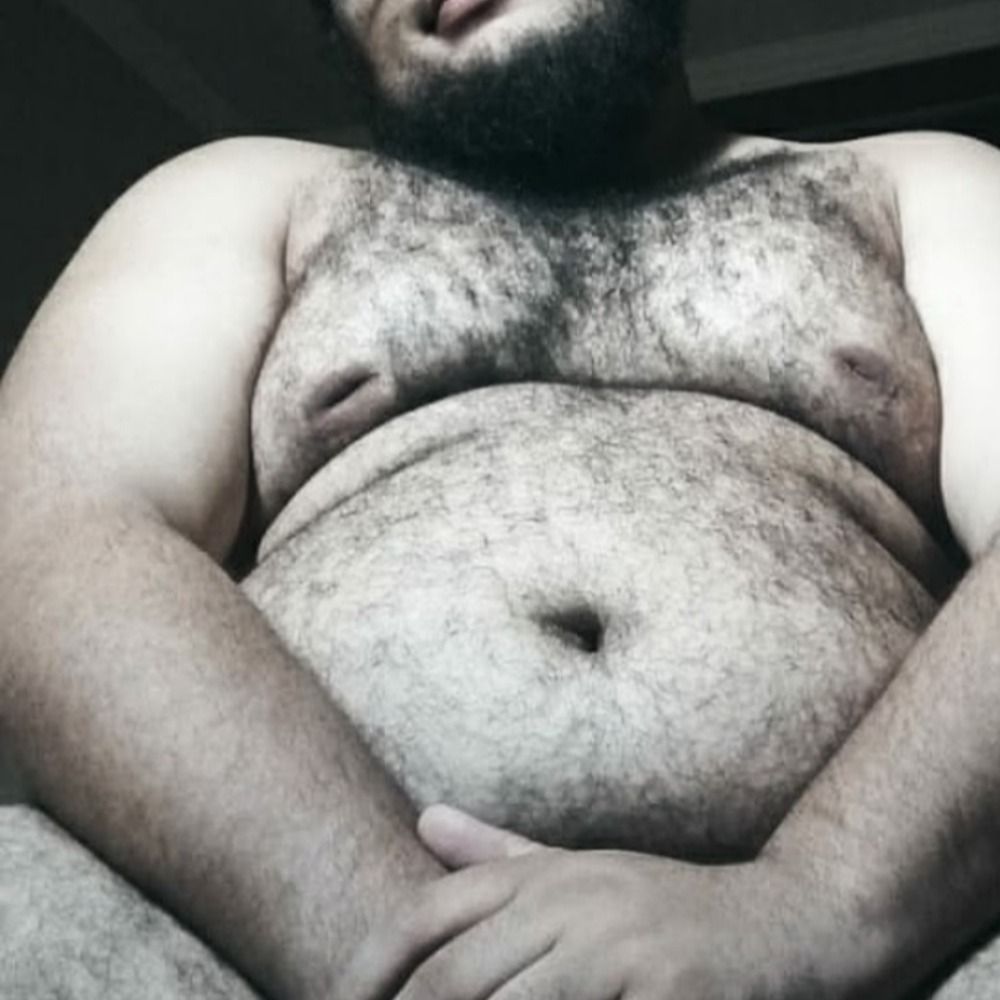 Urso Safado 😈