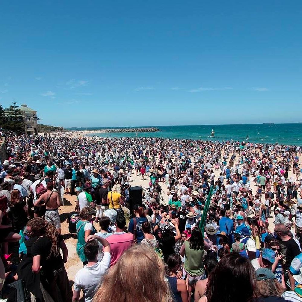 Shark Safety WA