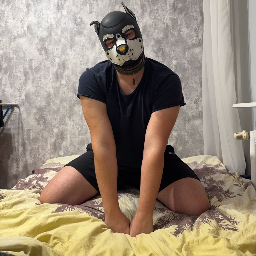 Skiba Pup