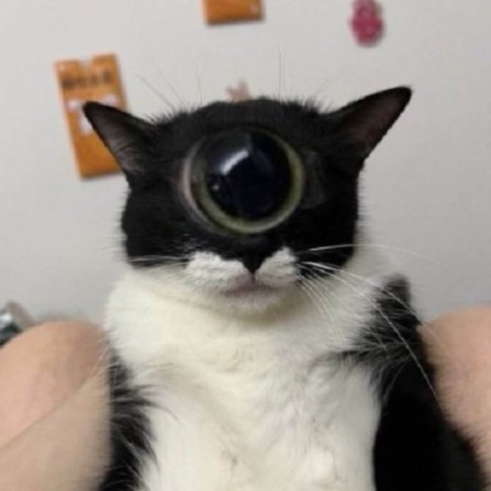 jack