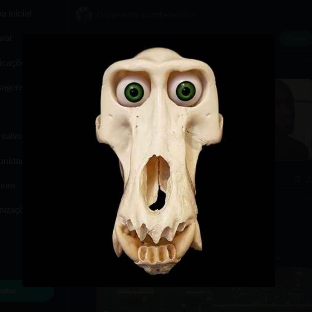 dedodobirin