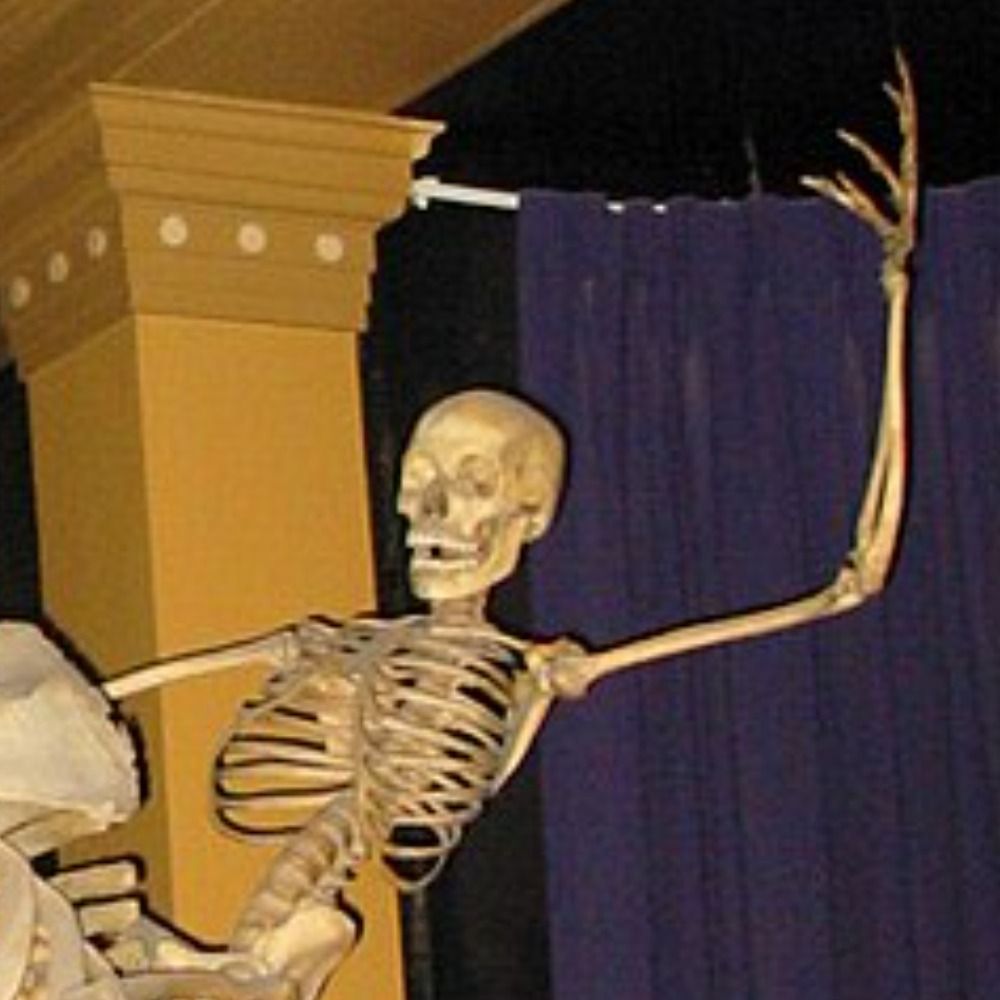 A Skeleton