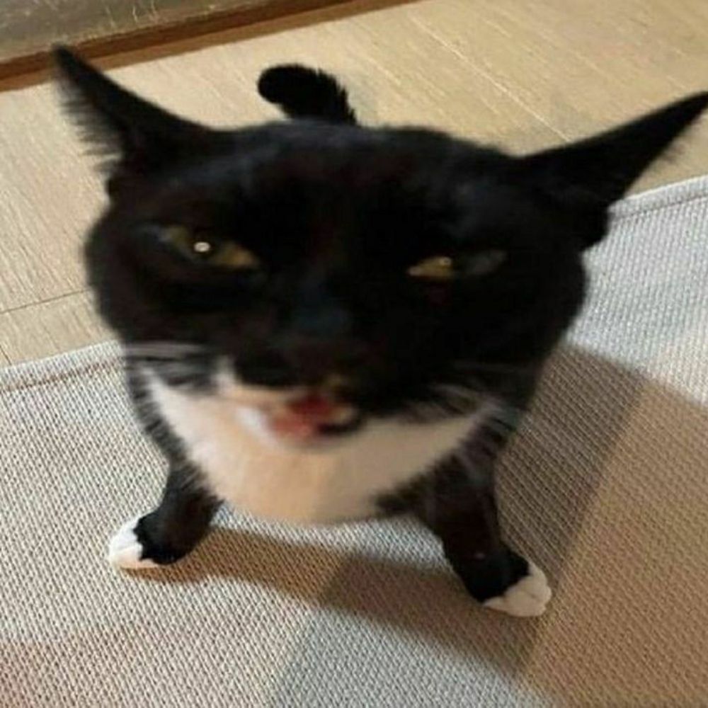 Zan