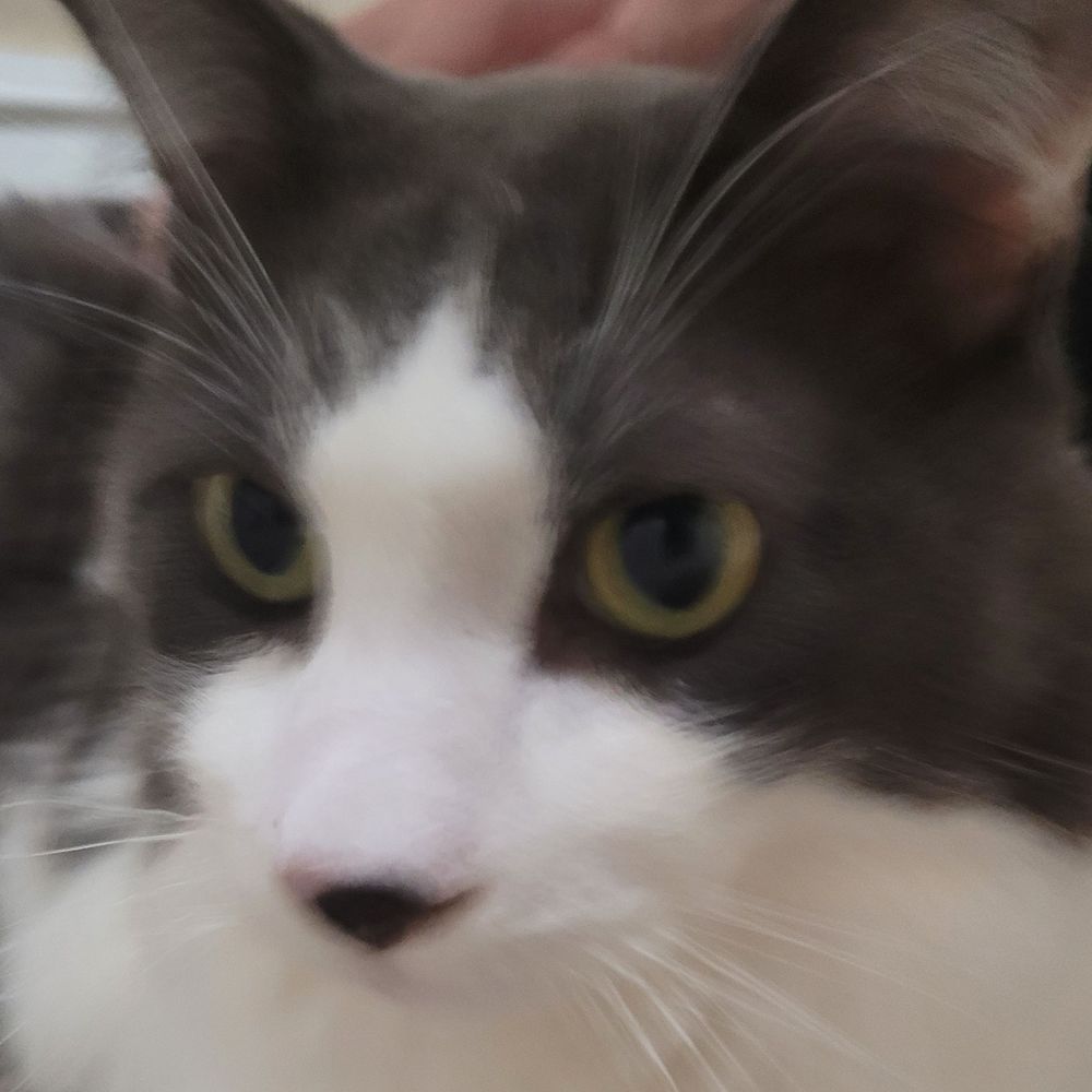 Gary