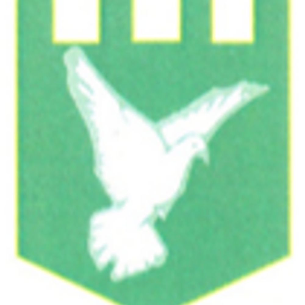 Raglan CIW VC Primary School