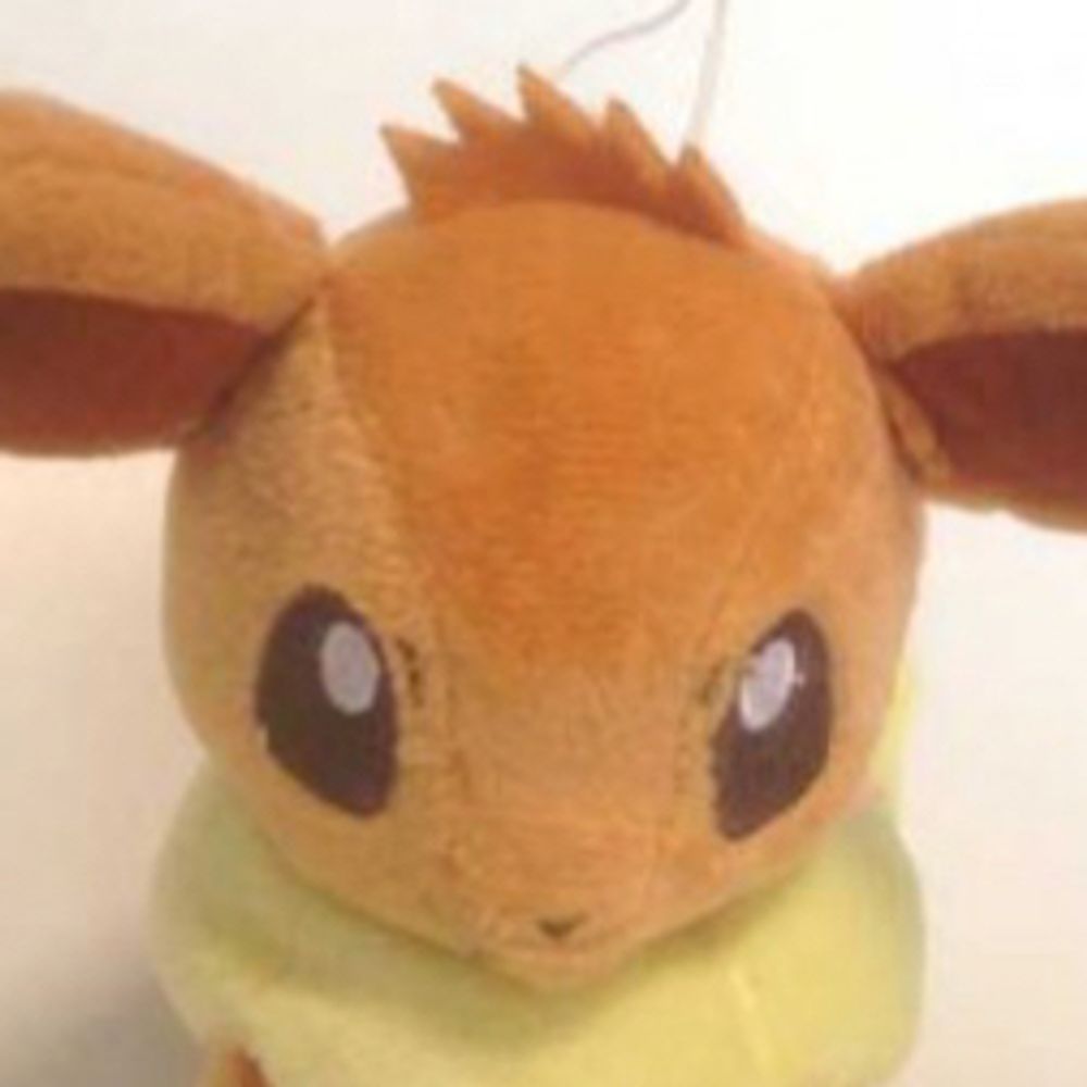 Toy