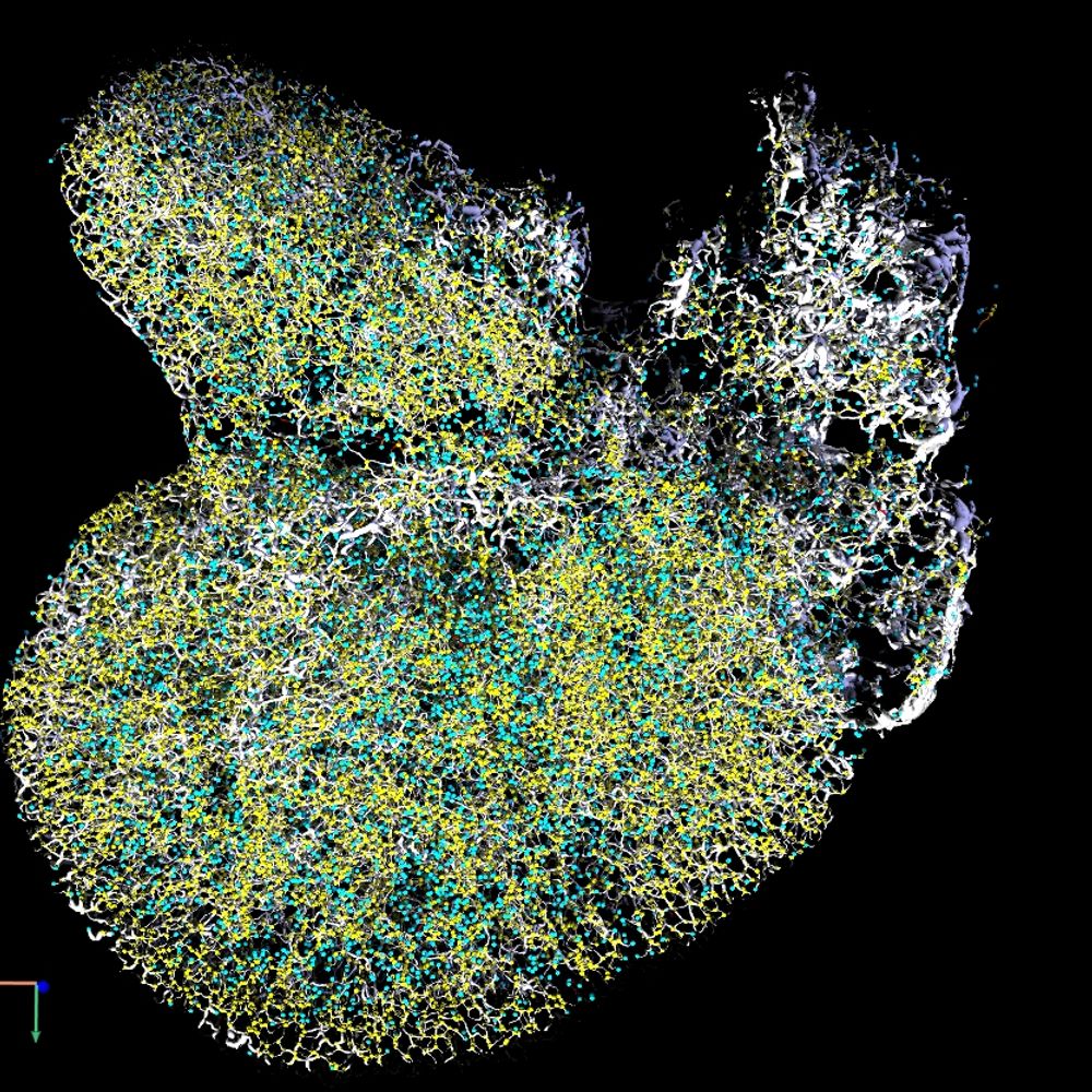 MDIBL Light Microscopy Facility